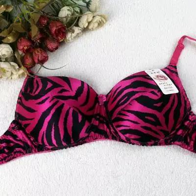 Soutien-gorge grande tasse 100% soie, bonnet C D