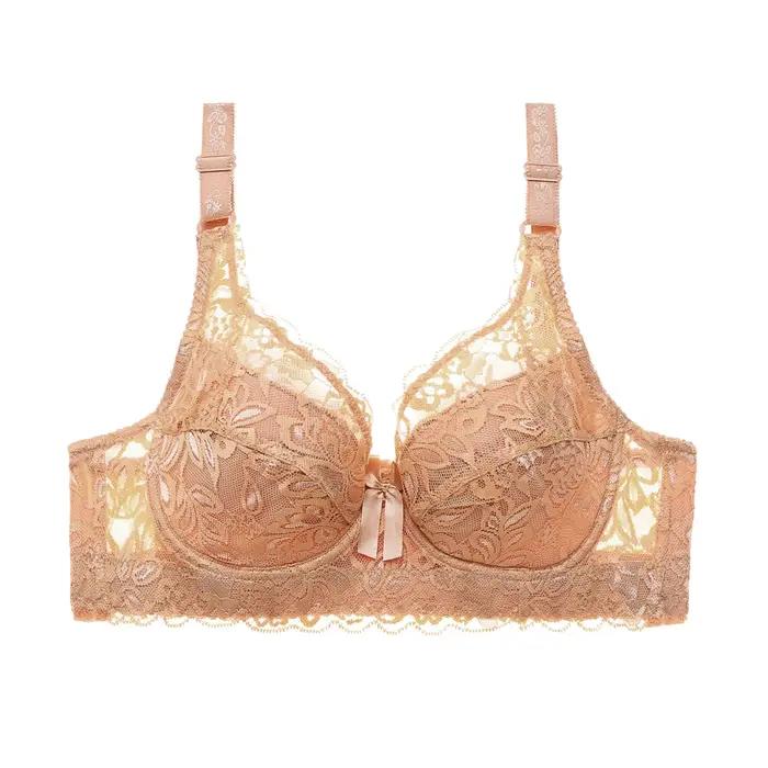 Soutien-gorge Sexy en dentelle brodée pour femmes, bonnet B C D, à armatures, réglage, Lingerie plon