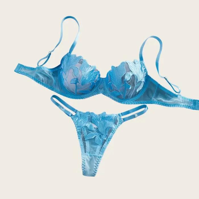 Ensemble de lingerie féminine en dentelle brodée, bleu, Pure Desire, lingerie pour adultes, ensemble de lingerie intime transparente et élégante