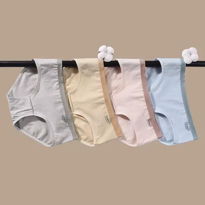 Culottes en coton pour femmes, sous-vêtements doux pour la peau, lingerie solide pour documents, slips mi-audiStudent, caleçons courts pour femmes, 3 pièces