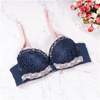 Soutien-gorge push up en dentelle pour femmes, sous-vêtements, lingerie, sans doublure, sexy, fermet