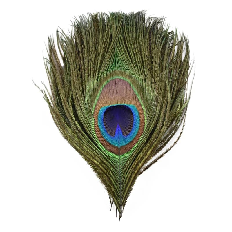 Plumes de paon naturelles, œil pour la fabrication de bijoux, artisanat de mariage, accessoires attr
