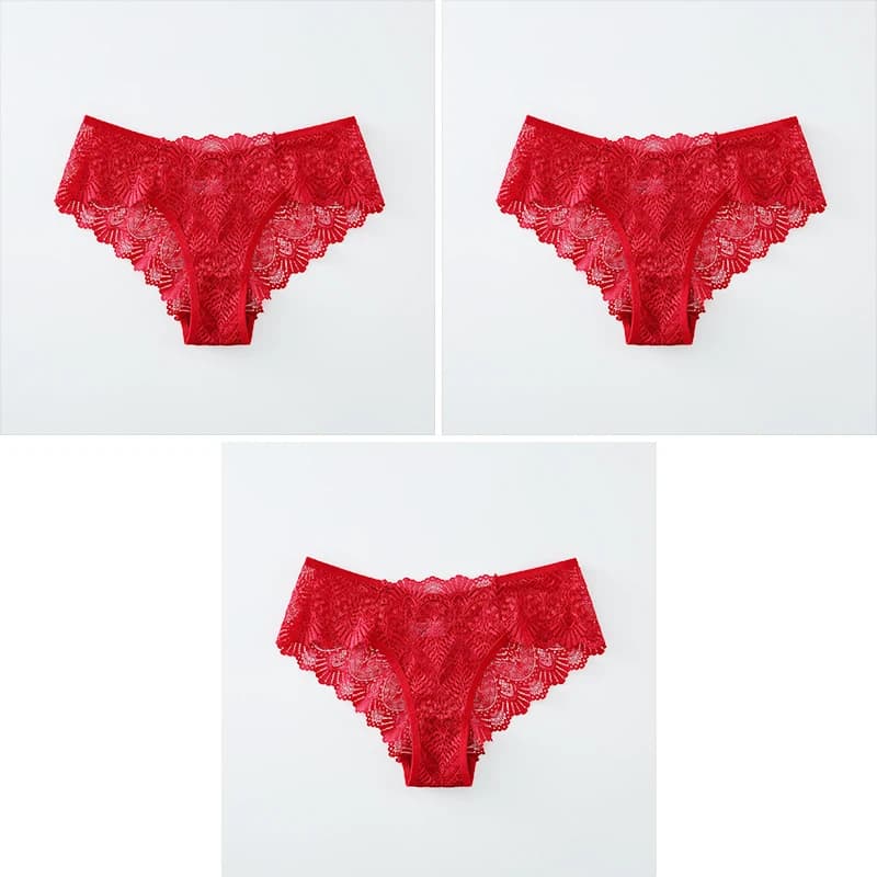 La culotte des femmes sexy de dentelle, les sous-vêtements des femmes sans couture de taille moyenne