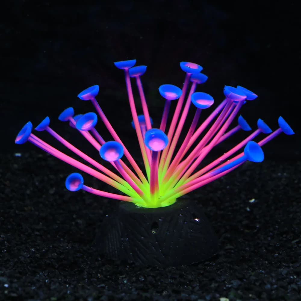 Décorations d'aquarium qui brillent dans le noir, avec lumières en silicone souple, ornements de cor