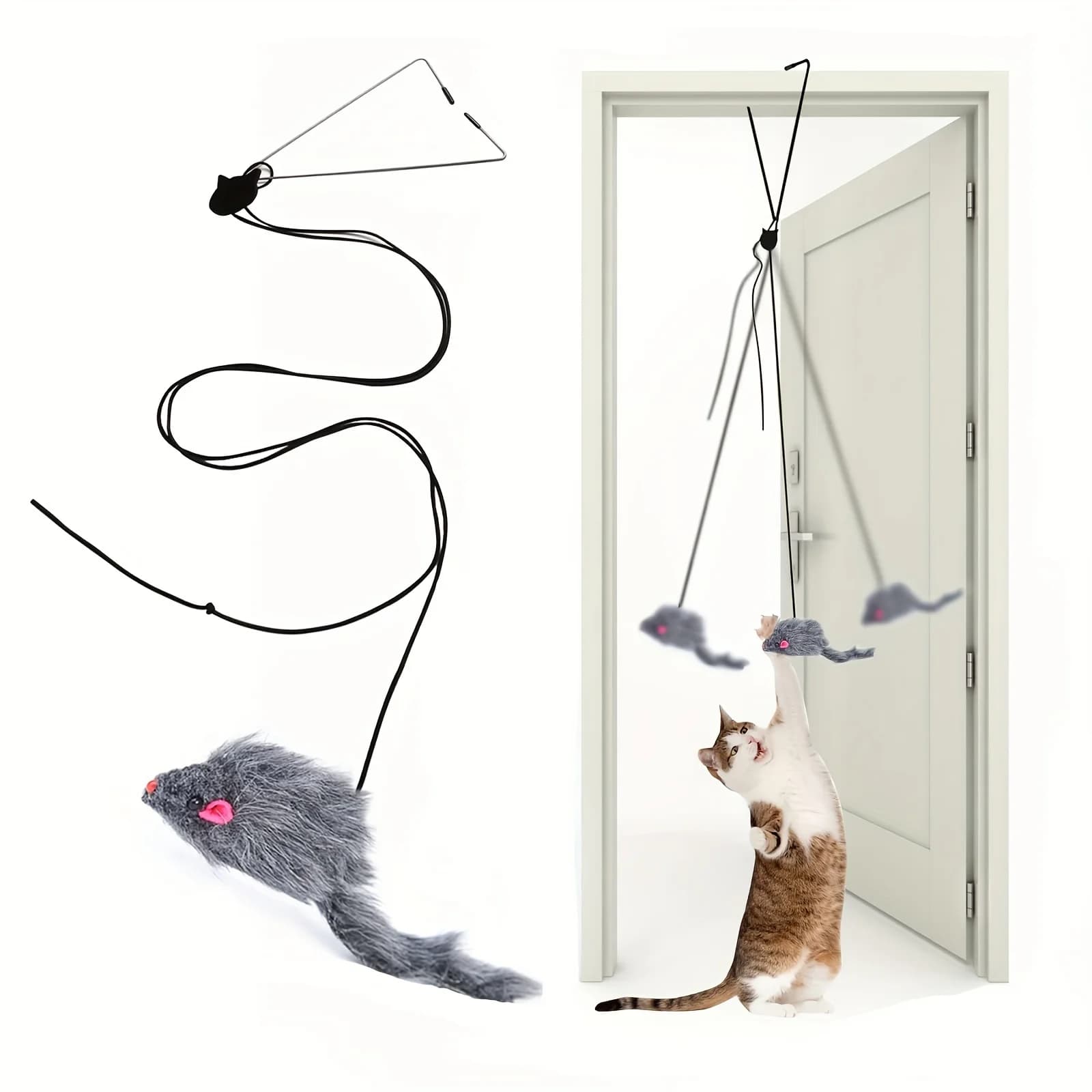 Jouet de Face de Porte pour Chat, Souligné Charleroi Eve Living OmDoor, pour Salon chaton