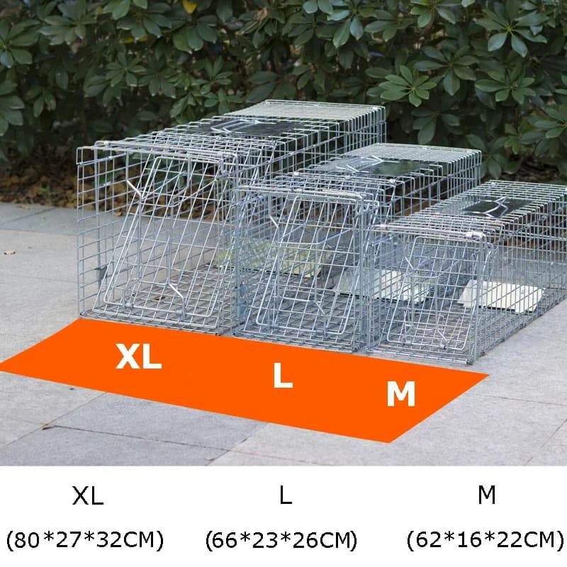 Super grand attraper chat Coypu pièges appât Snap Catcher pliable réutilisable Cage de sauvetage piè