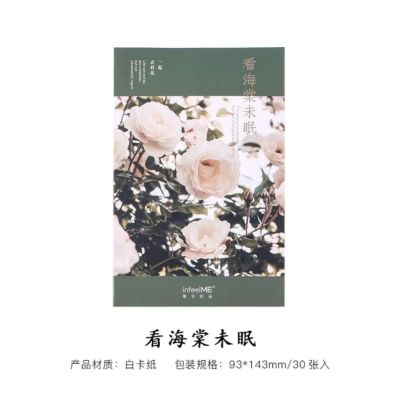 Lot de 30 cartes postales magnifiques avec fleurs de bégonia et ciel nocturne clair - Cartes de vœux