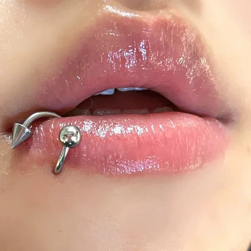 Piercing en Acier Inoxydable pour le Corps, Anneau Antarctique, Fer à Cheval, Pointe, Septum, Jules,