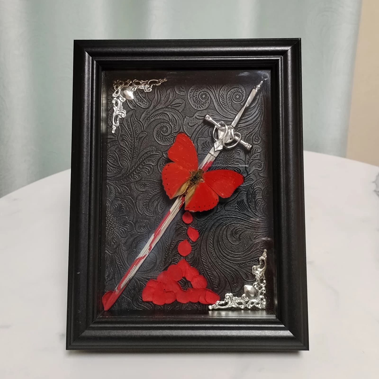 Spécimen de Cymothoe Sangaris papillon rouge avec épée, papillons naturels encadrés, taxidermie, œuv