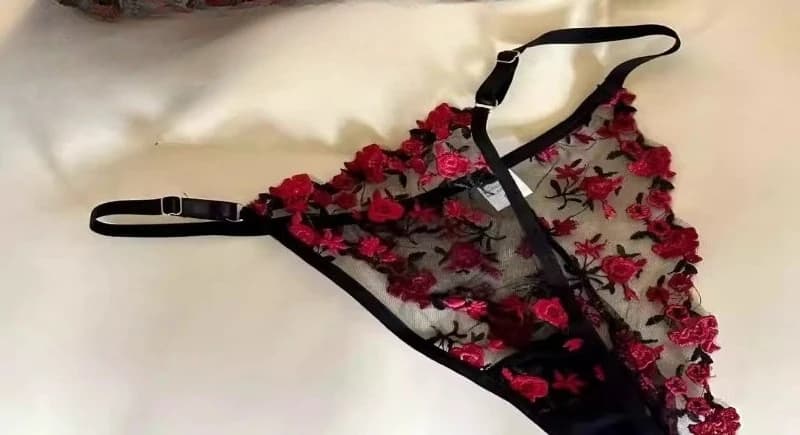 Soutien-gorge brodé en dentelle pour femme, ultra-fin, transparent, sans rembourrage, avec armatures