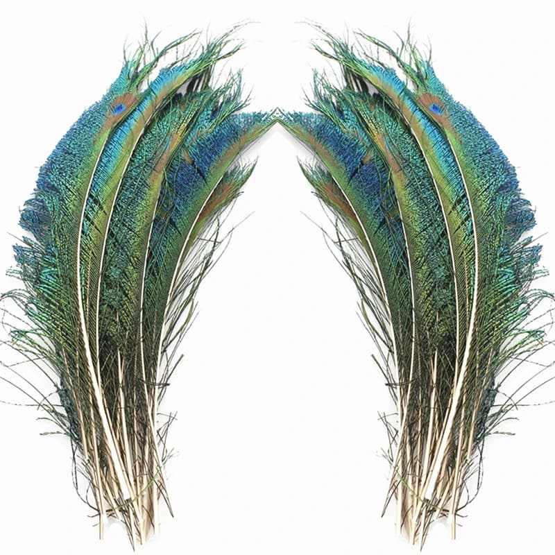 Plumes de paon naturelles véritables, 25-30CM/10-12 pouces, pour artisanat, plumes de mariage pour l