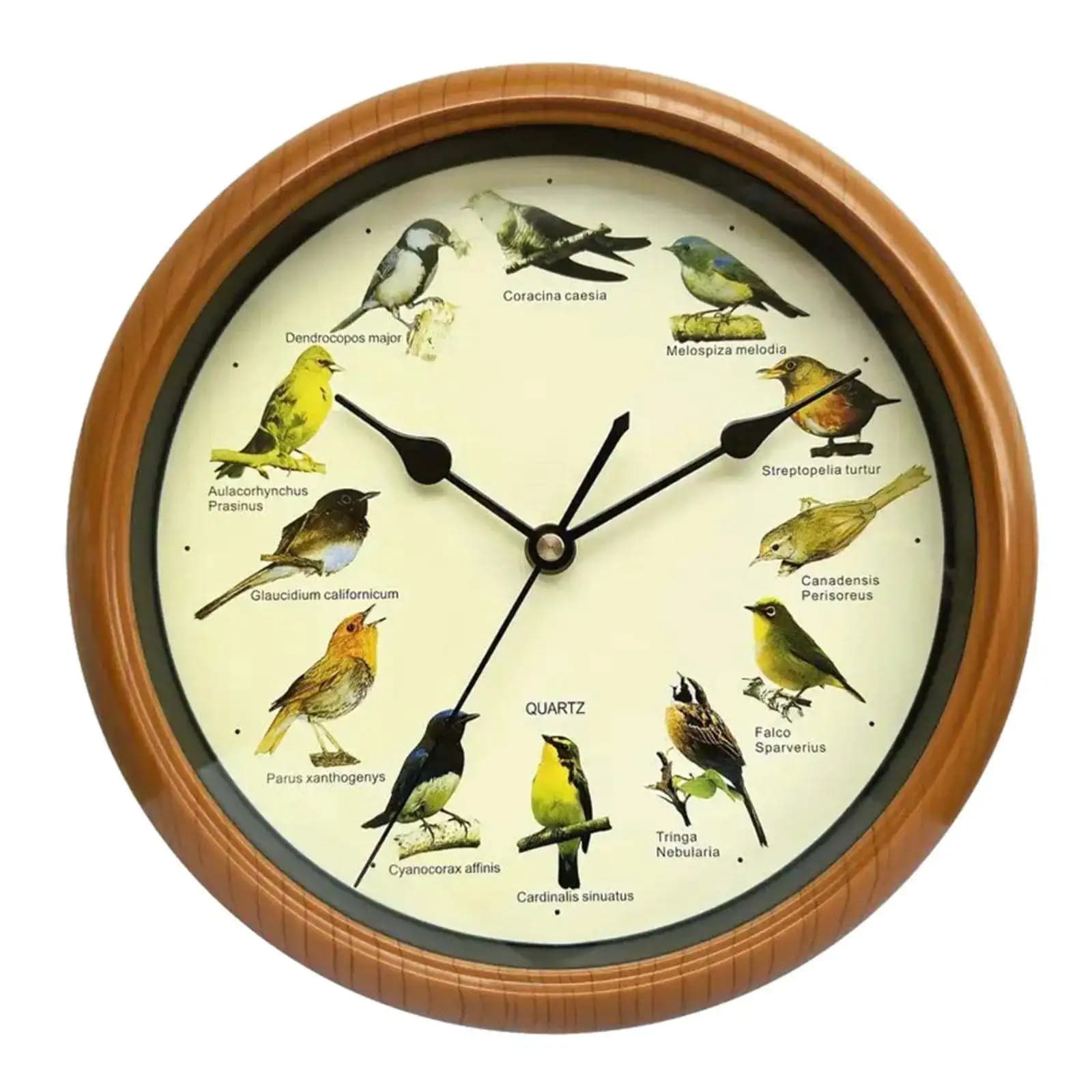 Horloge murale en forme d'oiseau avec son, qui chante sur heure, horloge décorative suspendue, décor