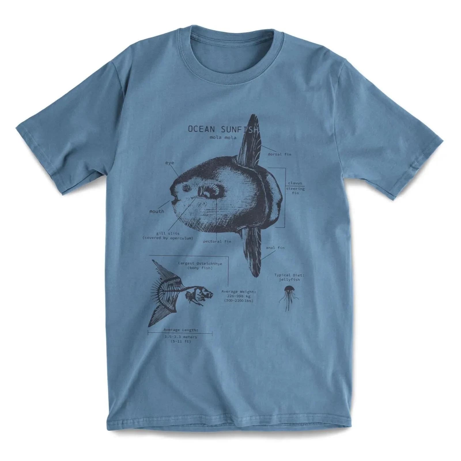 Océan poisson-soleil anatomie T-shirt Mola Mola Science T-shirt Animal plage biologie Marine plage c
