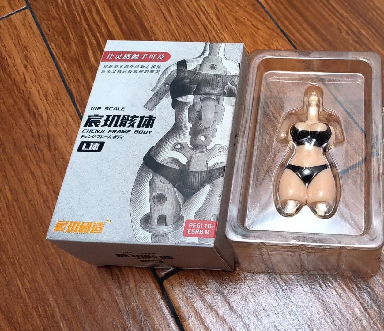 Chenji Craft – Accessoire de figurine d'action Mechagirl, corps féminin universel à l'échelle 1/12 a