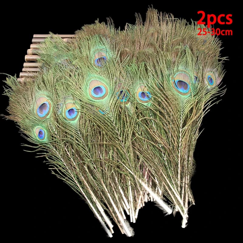 Plumes de paon blanches longues, 2 pièces, grand œil 25-30cm, décoration pour adultes, Plume rouge b