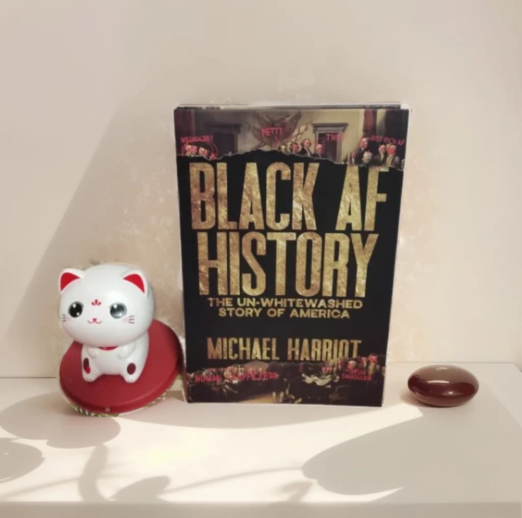 Livre d'histoire AF noir, l'histoire d'amérique non lavée, livre anglais