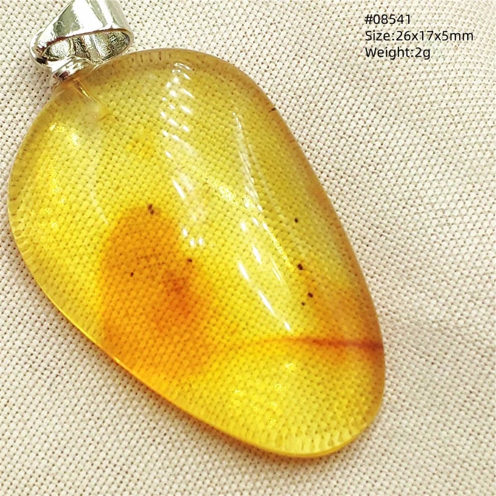 Pendentif en ambre jaune naturel, bijou de guérison, véritable ambre jaune, collier avec insecte en