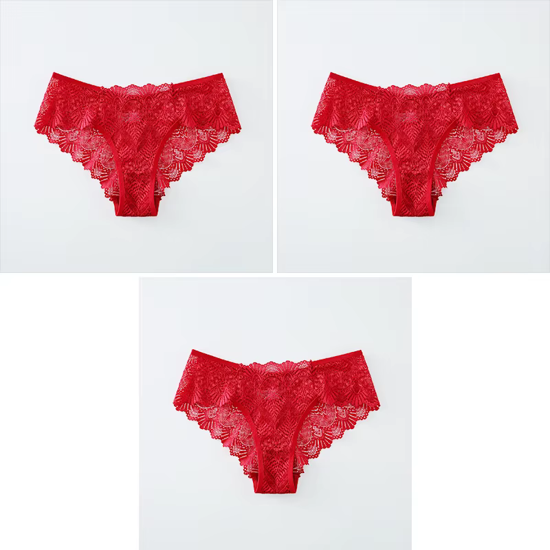 La culotte des femmes sexy de dentelle, les sous-vêtements des femmes sans couture de taille moyenne