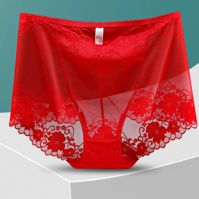 Grande culotte transparente grande taille pour femme, caleçon ajouré en dentelle florale, slip en ma