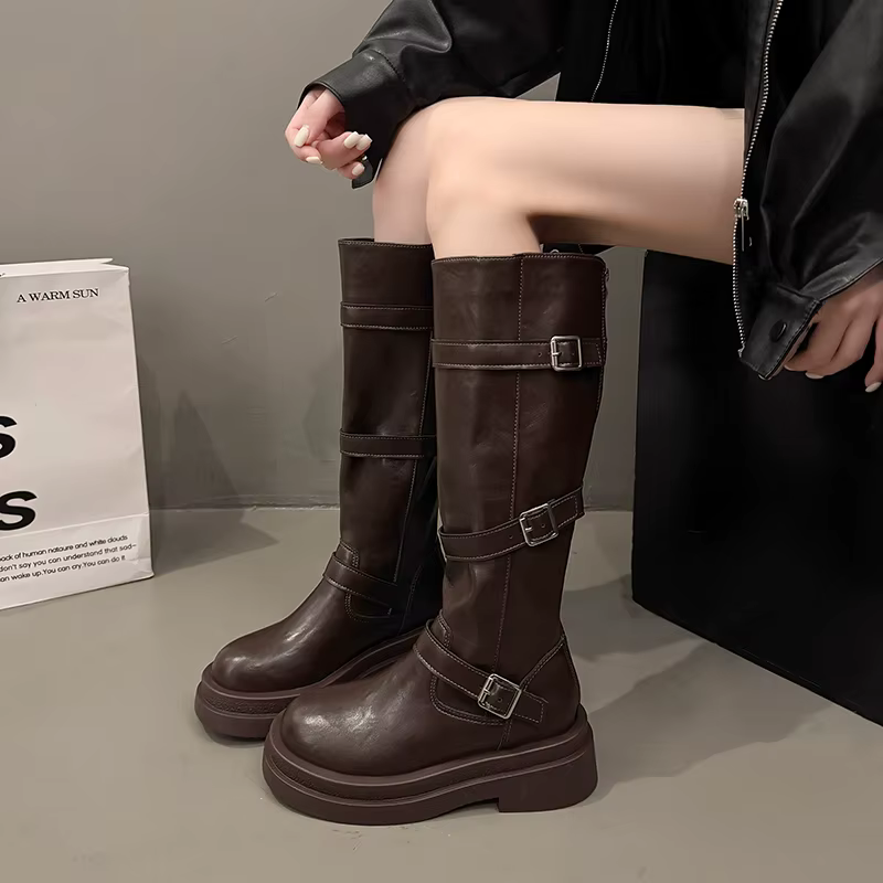 Plate-forme femmes chevalier bottes longues mode chaud fourrure chaussures automne hiver talons carr