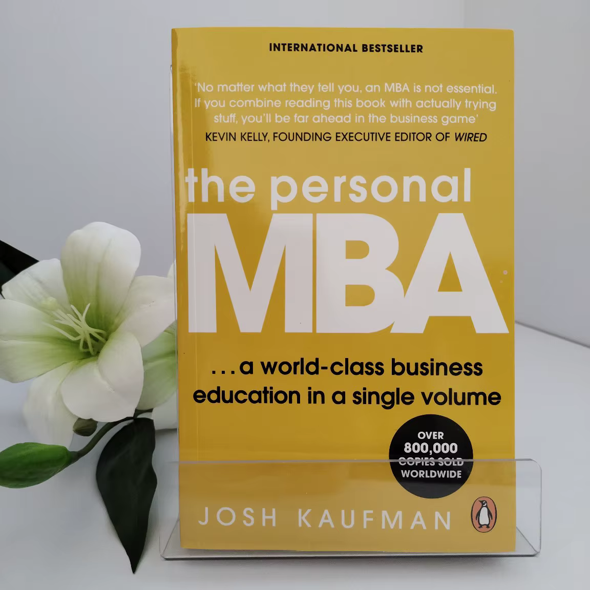 Faites votre MBA en anglais à domicile : Le MBA personnel pour maîtriser l'art de l'entreprise