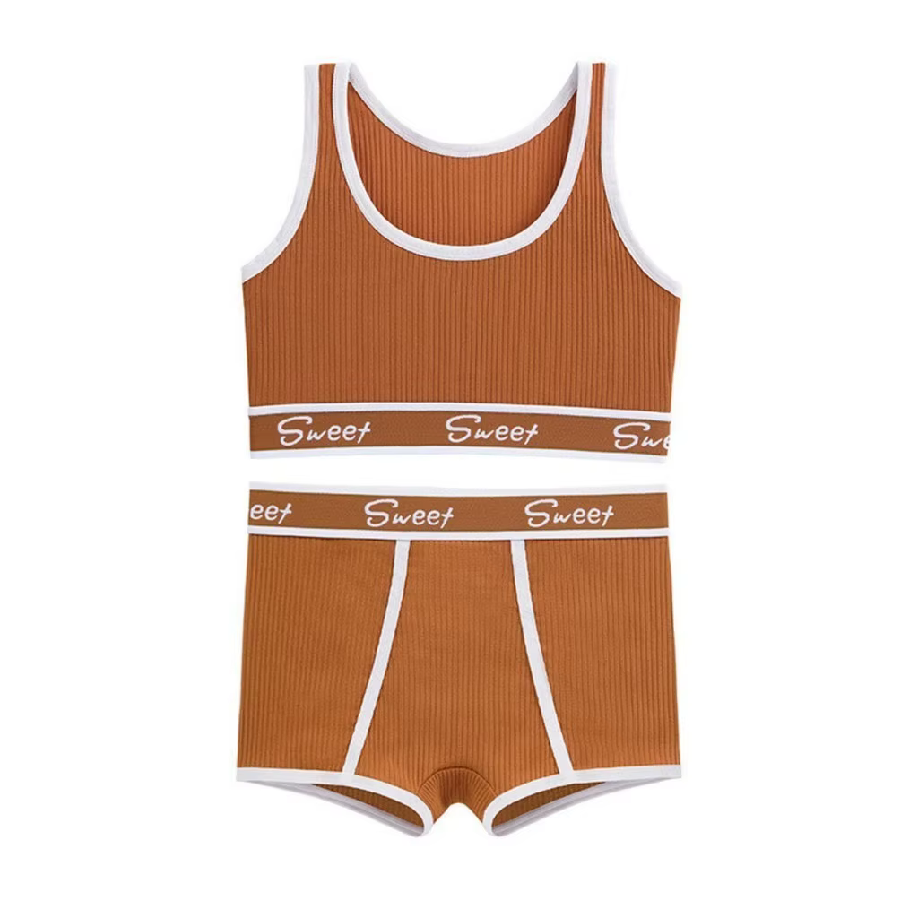 Ensemble de sous-vêtements confortables pour femmes, culotte en coton, soutien-gorge, culotte de séc