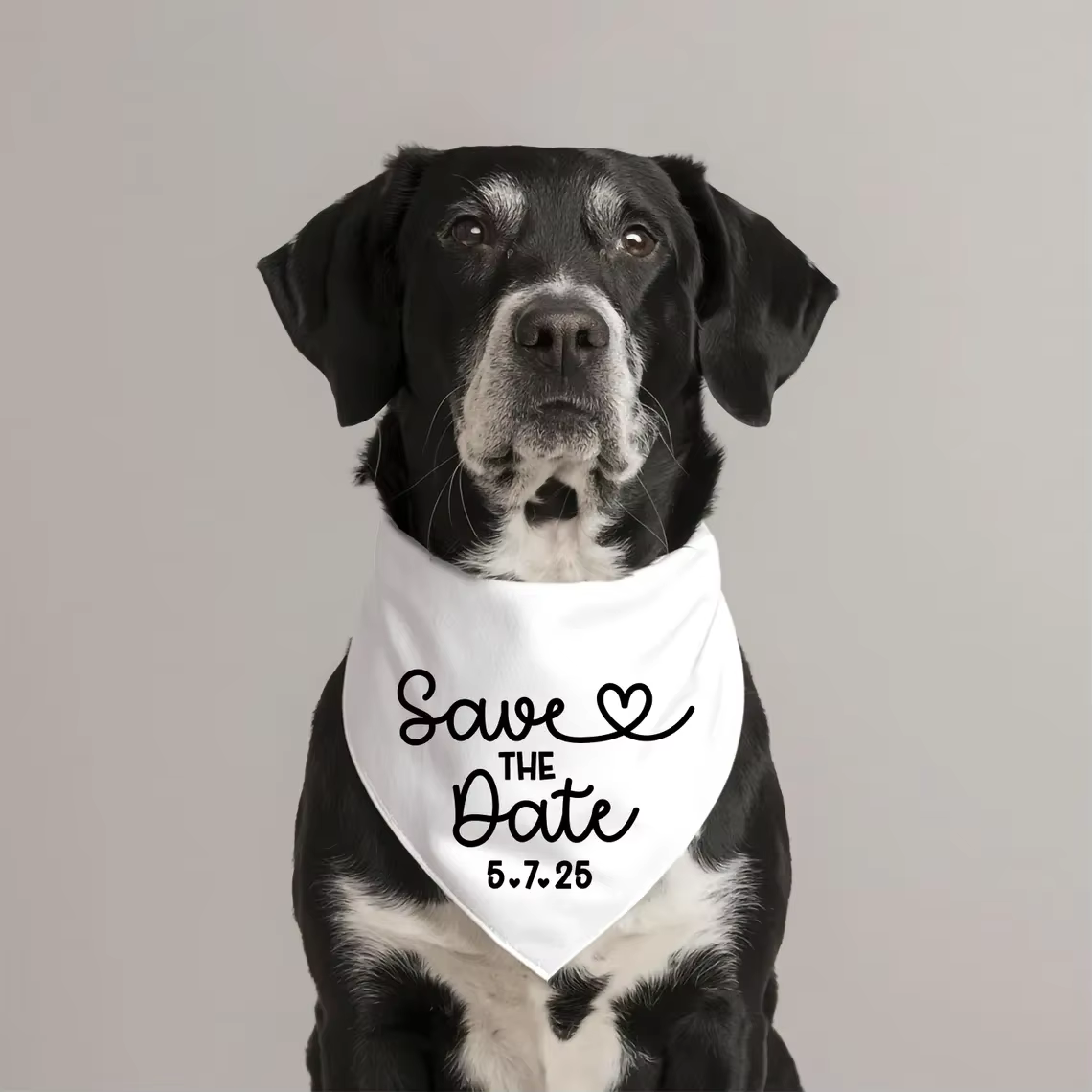 Save The Date – Bandana pour chien, Photo de fiançailles personnalisée, mes humains se marier, acces