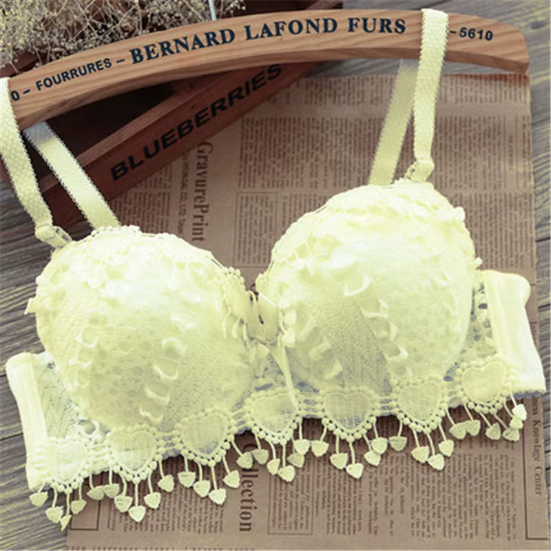 Femmes Sexy soutien-gorge dentelle douce bretelles réglables Push Up brassière à armatures Lingerie