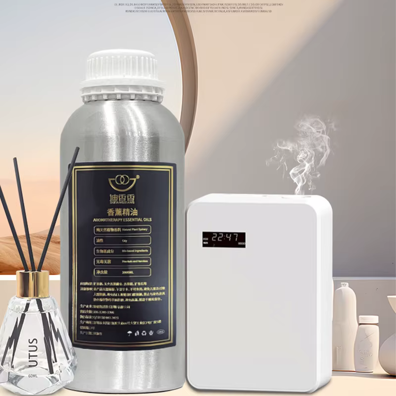 Huile parfumée Hilton Ritz Carlton Hotel, 100ml/1000ml, pour parfums d'intérieur, huiles essentielle